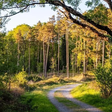 Oak 4* Portumna