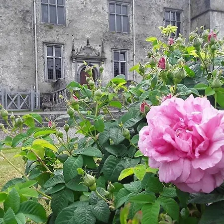 Gasthof Oak Portumna